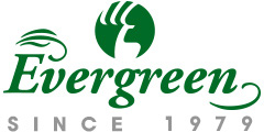 Evergreen Life